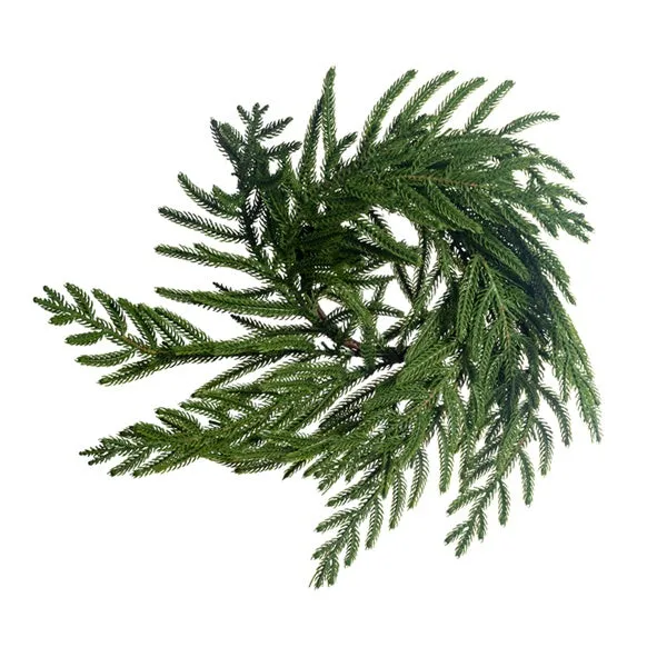 Artificial Douglas Pine Real Touch