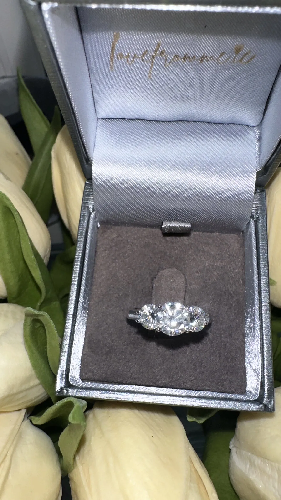 Emily Moissanite Ring - Silver