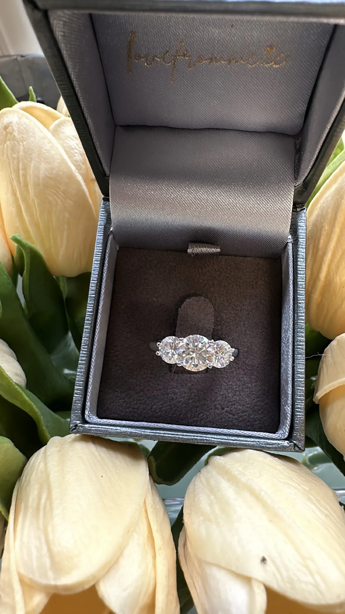 Emily Moissanite Ring - Silver