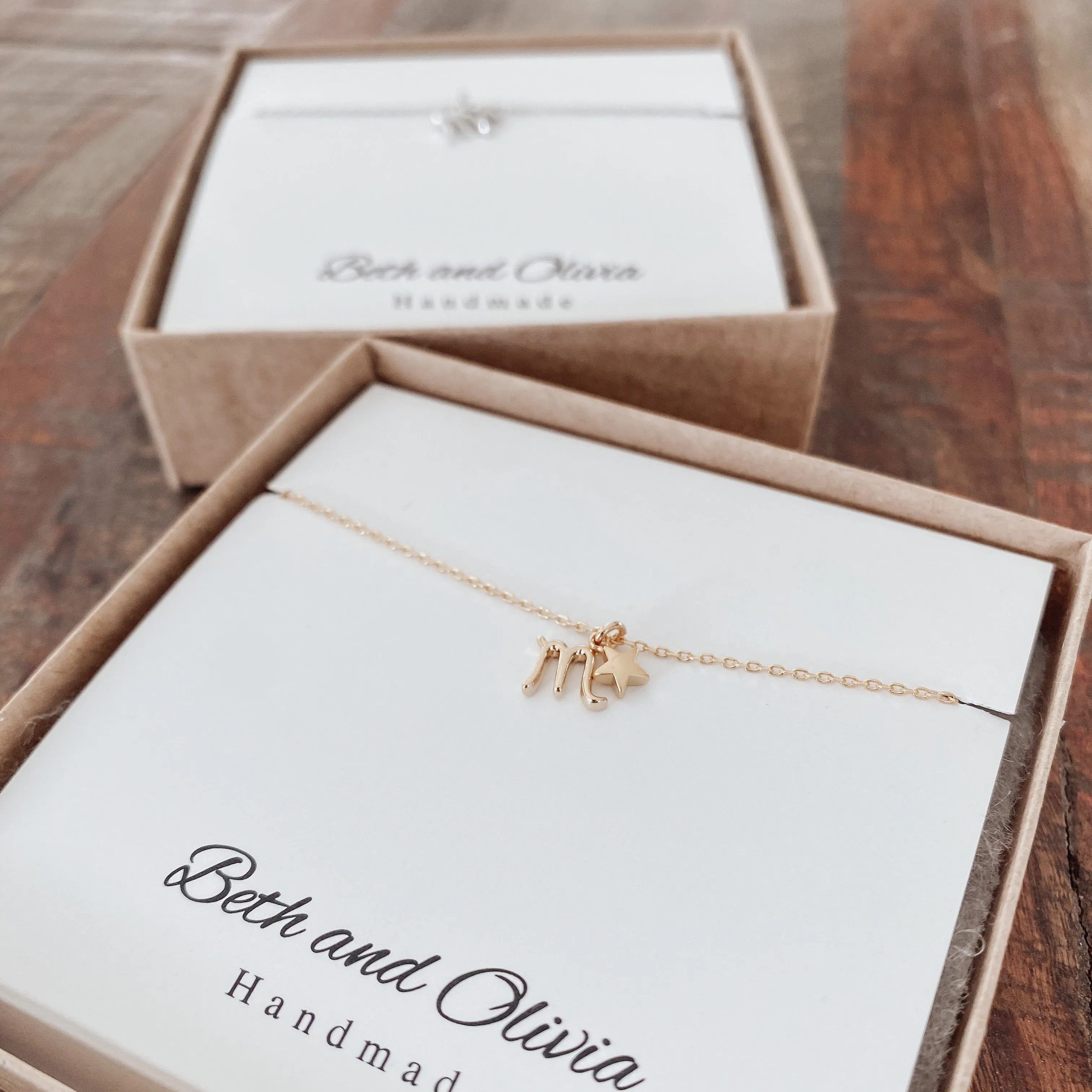 Scorpio Zodiac Charm Necklace