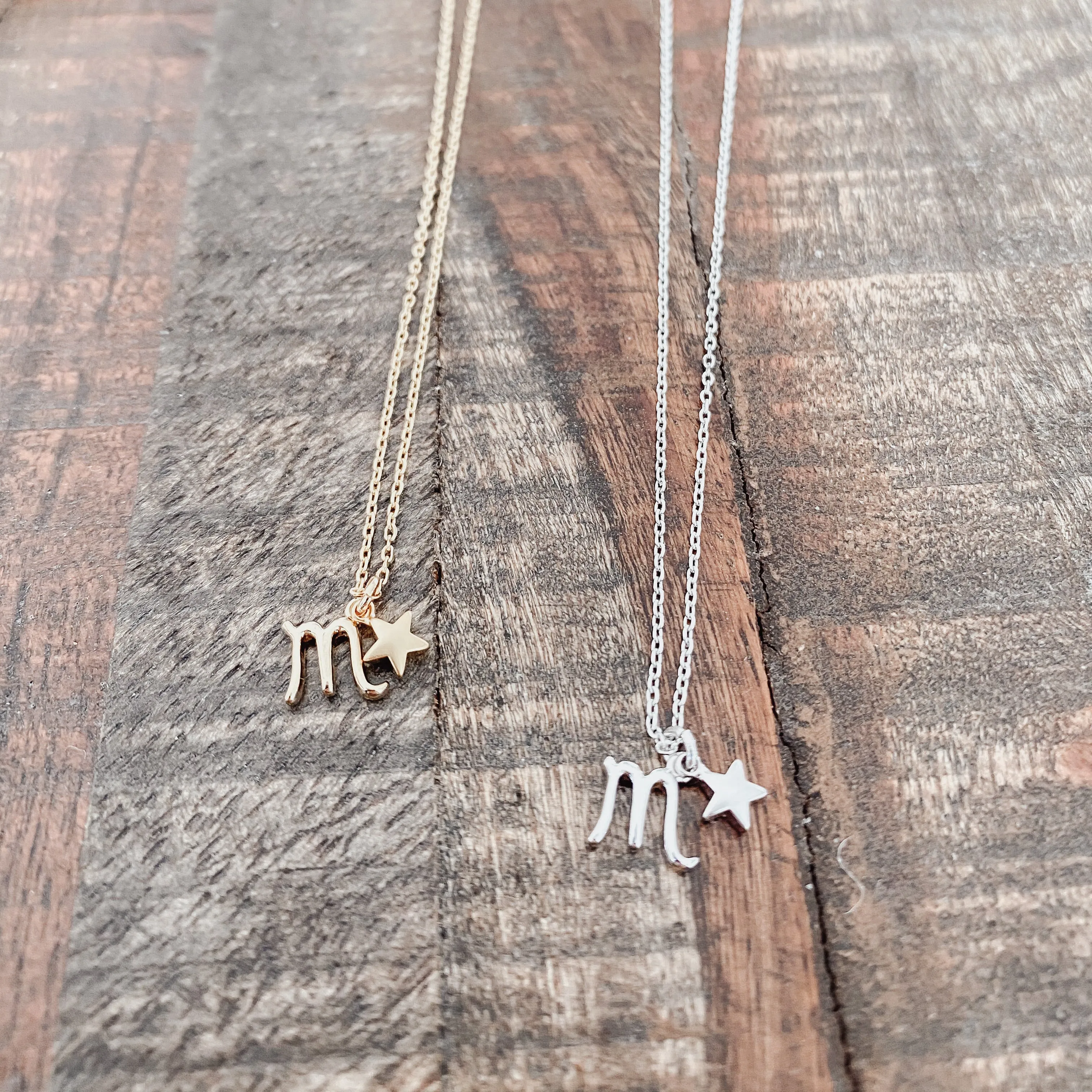 Scorpio Zodiac Charm Necklace