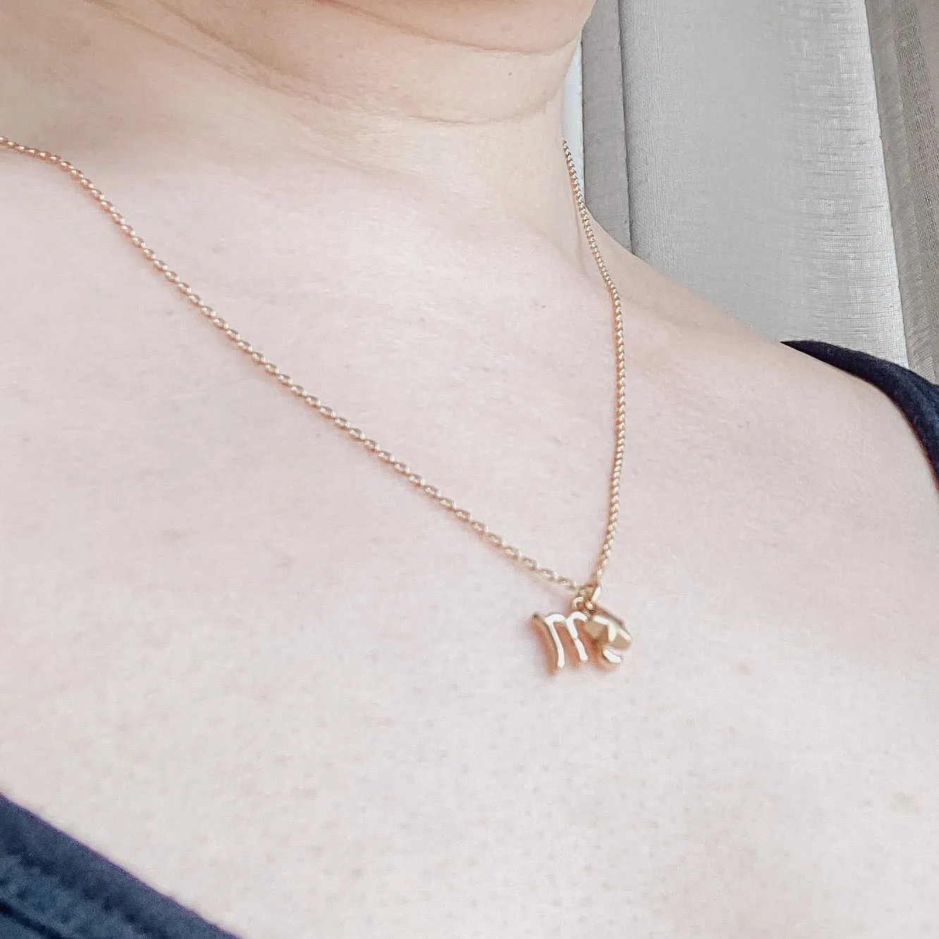 Scorpio Zodiac Charm Necklace