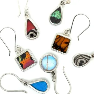 Small Butterfly Wing Earrings